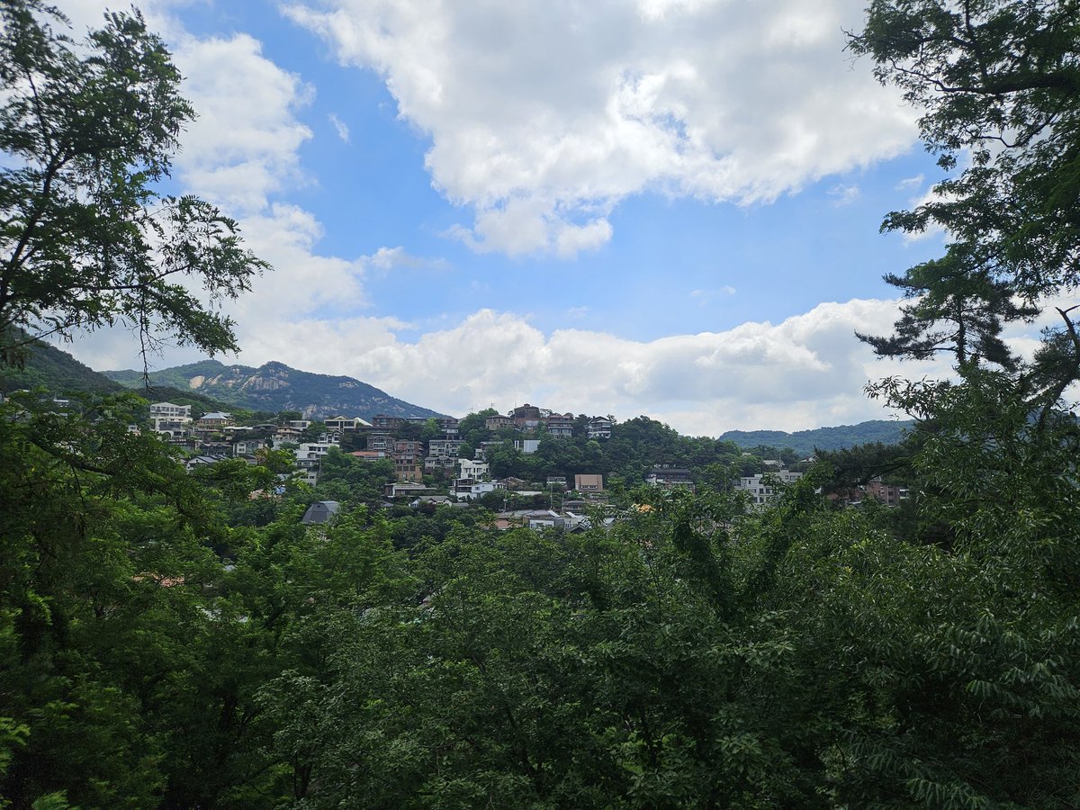 so_picky's tweet photo. 동네산책 https://t.co/CiA1HgXHGD