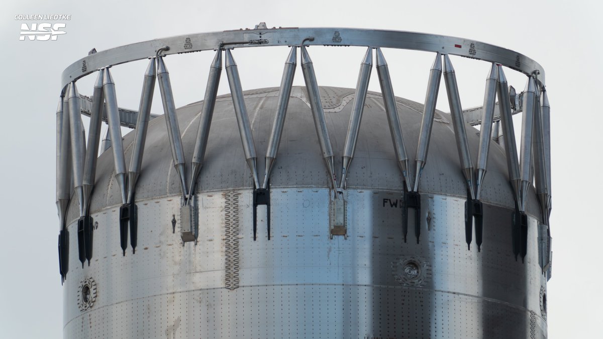 colleenadastra's tweet photo. B20 has come out to play! Sitting next to the Rocket Garden and Ship 20, this Super Heavy is expected to roll later tonight to Massey's test site for some cryo testing.

@NASASpaceflight  | https://t.co/yA1JjgzD0x https://t.co/Yf5ogSohHX