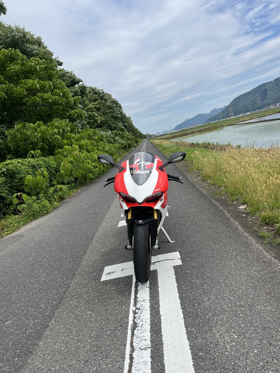 kinya959's tweet photo. あいむうえいてぃんぐとぅまろ〜❤️‍🩹 https://t.co/J7Mh7YCXD5