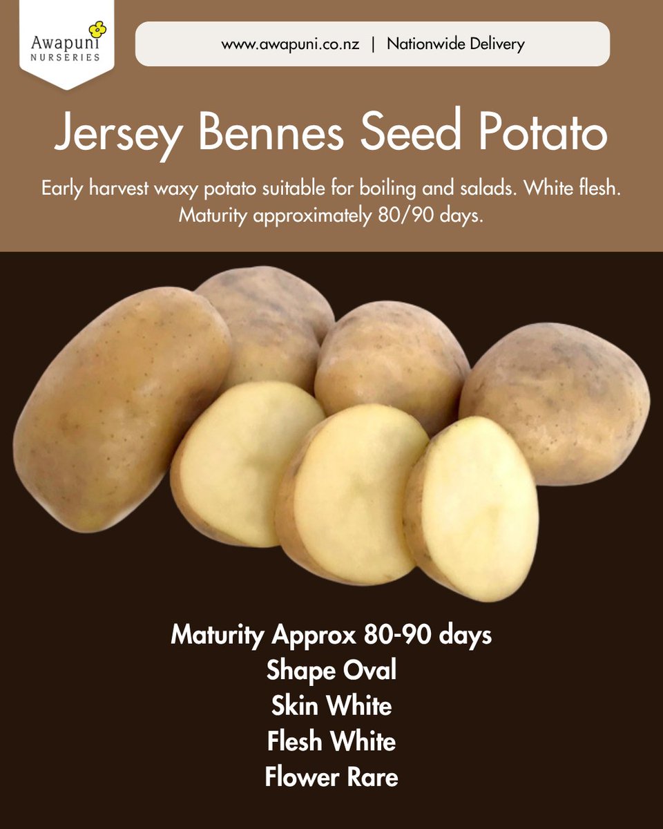 Grow_Awapuni's tweet photo. High-Yield Seed Potatoes for Chitting Now https://t.co/418oah4cox