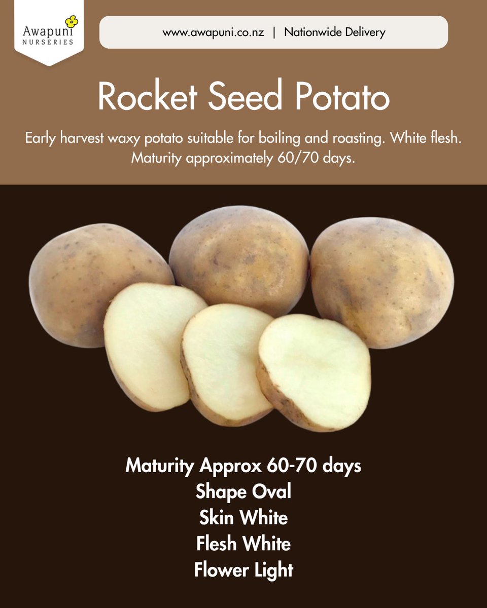 Grow_Awapuni's tweet photo. High-Yield Seed Potatoes for Chitting Now https://t.co/418oah4cox