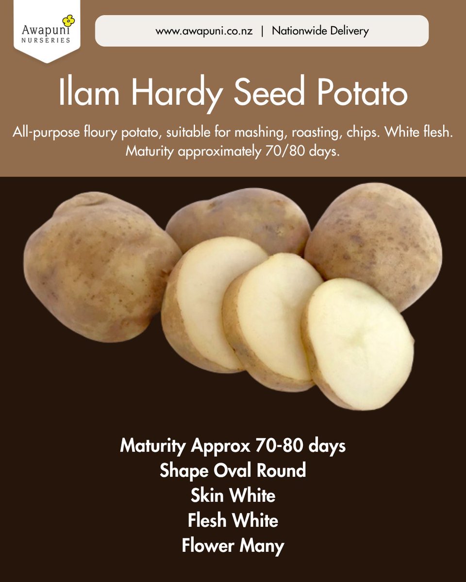 Grow_Awapuni's tweet photo. High-Yield Seed Potatoes for Chitting Now https://t.co/418oah4cox