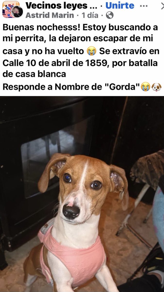 AlejandraVegaF5's tweet photo. ATENCIÓN LEYES DE REFORMA, IZTAPALAPA ‼️ La has visto? https://t.co/mZ4qMIYDtI