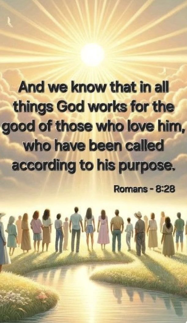 sharonePack's tweet photo. PILLOW🌟#PROMISE💫 
#AllThingsWorkTogetherForGood 
Watch and See https://t.co/V6ZdAV7oCO