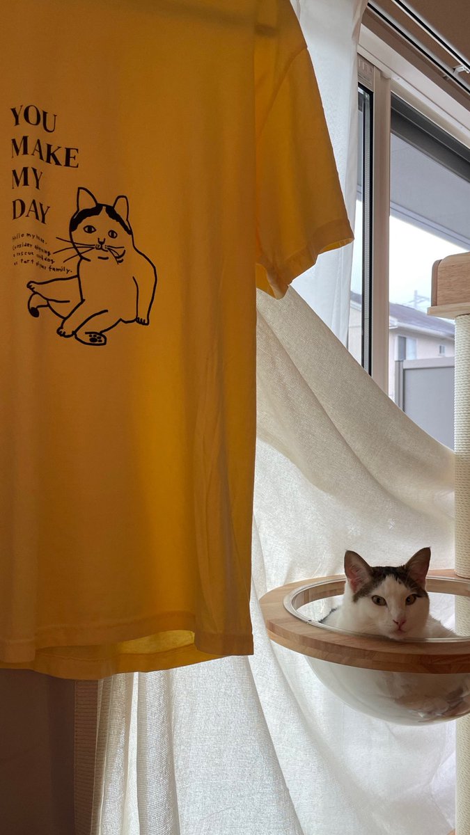 utamitsu's tweet photo. 富士に似たTシャツ❤️
文章の意味も素敵で買った。 https://t.co/u6ikxTTKJh