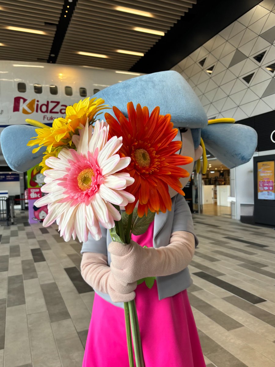 KidZania_F's tweet photo. 💐🎂Happy Birthday Vita! 🎂💐

本日6/5(金)は ＃ビータ の誕生日🌷
今年は大きなお花をプレゼントしました☺

みなさんもぜひ、いいね💛とコメントにお花の絵文字💐🌻🌼をつけてお祝いしてくださいね✨

＃キッザニア https://t.co/Vz99U49Rho