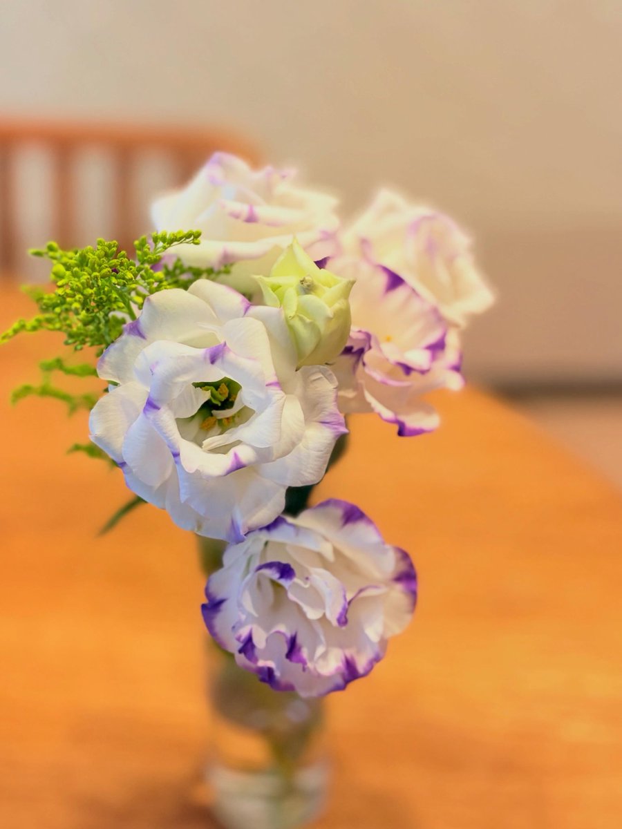 kero_yumi's tweet photo. これからどんどん暑くなるので、部屋に飾る切花を長持ちさせるのは難しくなってくるが、トルコ桔梗は比較的長持ちで助かる花 見た目も涼やかで、好きな花の一つ

#トルコキキョウ #リシアンサス #lisianthus #eustoma #roomflowers https://t.co/UpyvW8G6Im