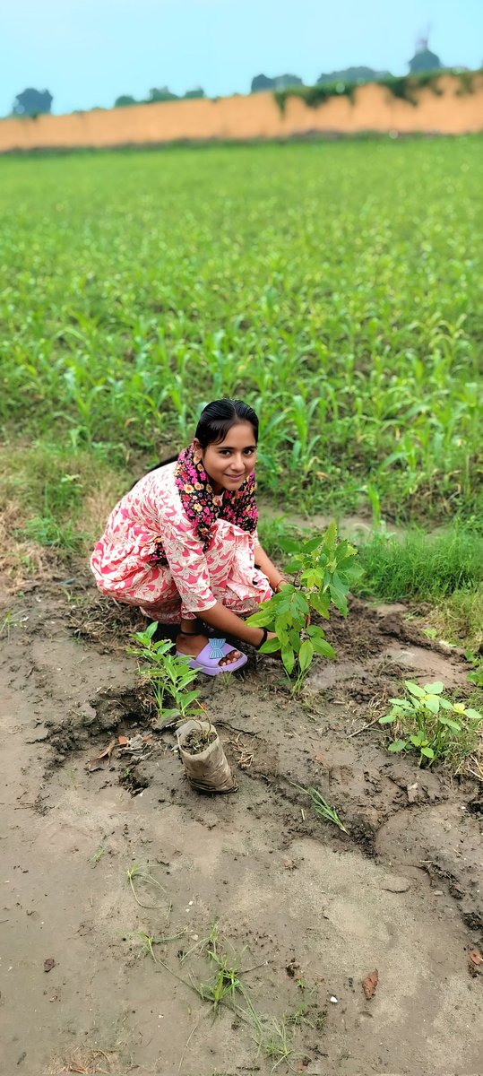 Ma_nu_saini's tweet photo. इस #WorldEnvironmentDay पर, आइए हम यह संकल्प लें कि हम अपनी धरती माँ की रक्षा करेंगे, पेड़ लगाएंगे और प्रदूषण कम करेंगे। Dera Sacha Sauda के लाखों अनुयायी, Saint Gurmeet Ram Rahim Ji की प्रेरणा से, पहले से ही अपने कर्तव्यों का पालन कर रहे हैं।
#WorldEnvironmentDay2026 https://t.co/qGS7gmv0Hy