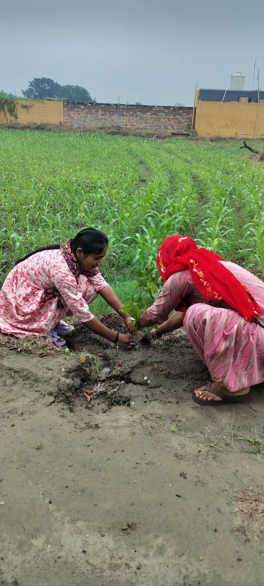 Ma_nu_saini's tweet photo. इस #WorldEnvironmentDay पर, आइए हम यह संकल्प लें कि हम अपनी धरती माँ की रक्षा करेंगे, पेड़ लगाएंगे और प्रदूषण कम करेंगे। Dera Sacha Sauda के लाखों अनुयायी, Saint Gurmeet Ram Rahim Ji की प्रेरणा से, पहले से ही अपने कर्तव्यों का पालन कर रहे हैं।
#WorldEnvironmentDay2026 https://t.co/qGS7gmv0Hy