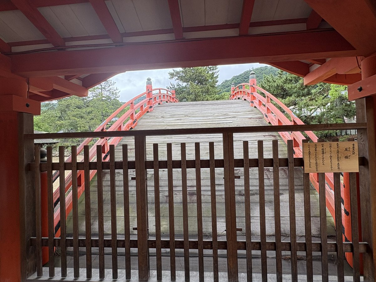 こま。 tweet media