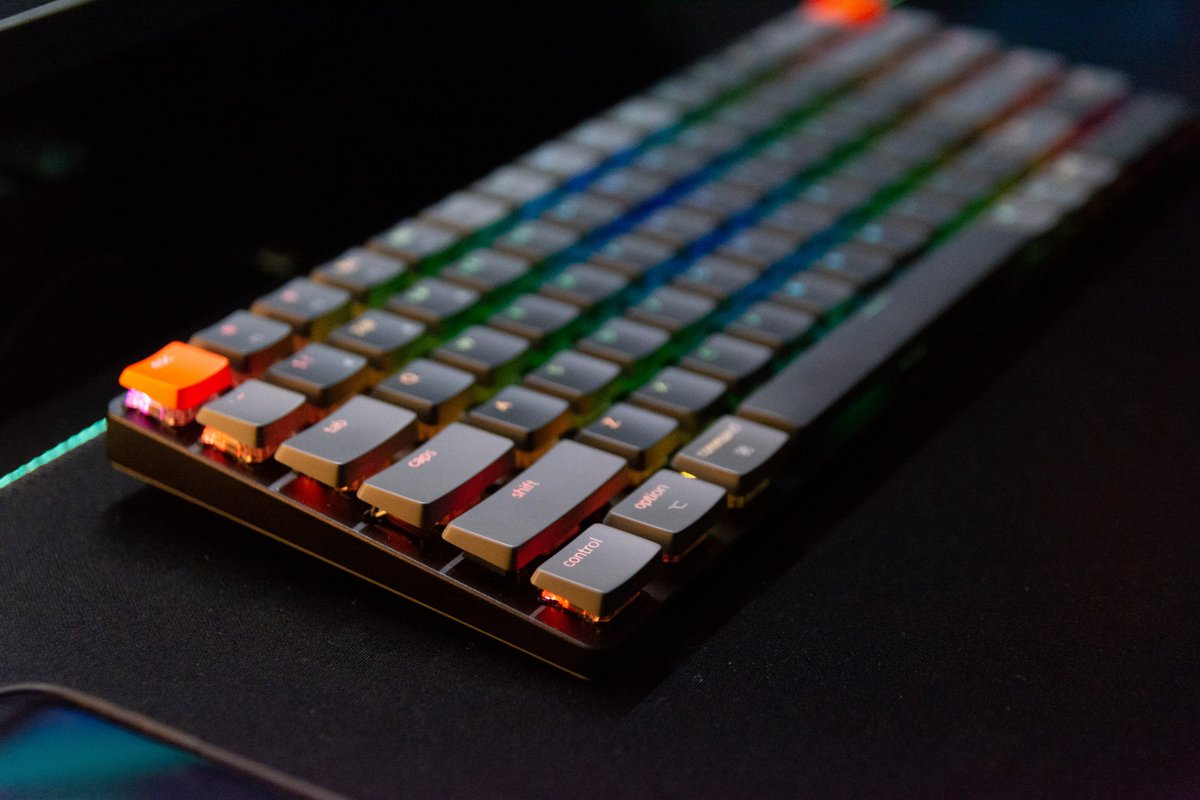 budgetloadout's tweet photo. Best Keyboard for Tarkov: 4 Raid-Ready Picks
https://t.co/G1iTRGjKDw https://t.co/L8s8guaDBg