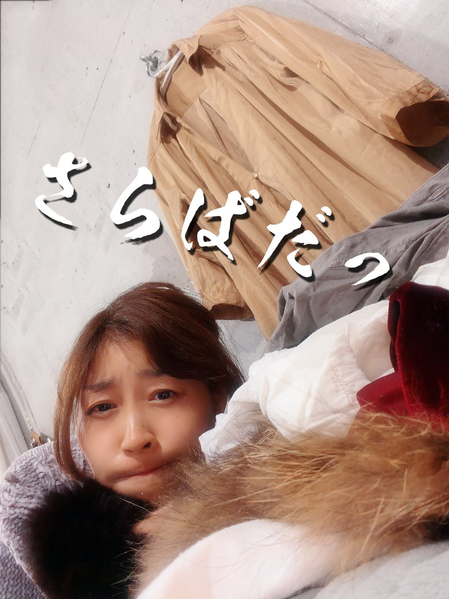 断捨離再開中