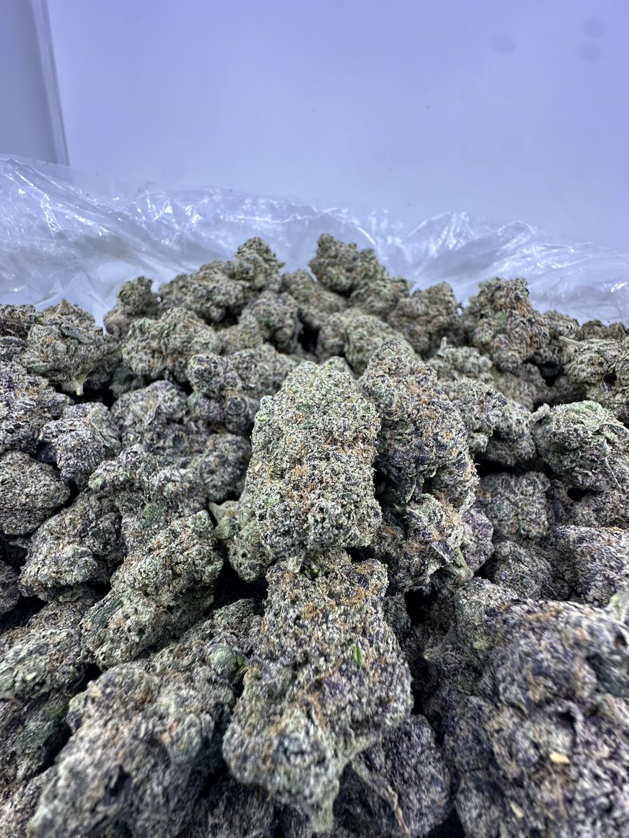 zookeeperpackz's tweet photo. Pink Slushy 
Dm serious inquiry only.

#CannabisCommunity #CannabisIndustry #WeedLife #TopShelf #ExoticFlower #IndoorGrown #CraftCannabis #CannabisCulture #GasPack #TerpeneRich #SmallBatch #WestCoastCannabis #CannabisMarketing #BrandBuilding #SmokeSession #FireFlower https://t.co/LYwdCDtBEQ