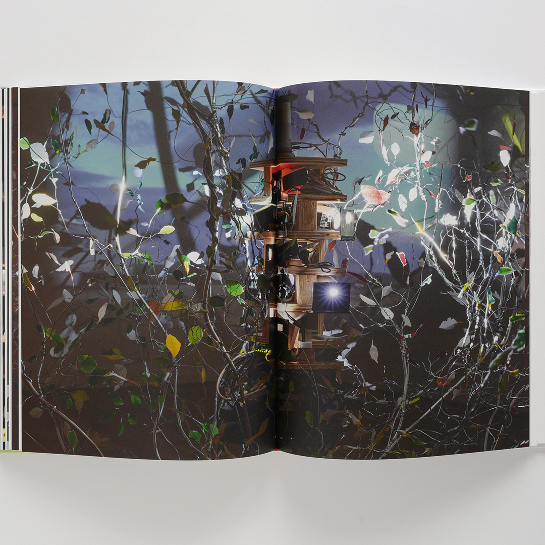芸術作品 1990年代後半から芸術の静的な性質に挑戦し、作品が展示される空間を