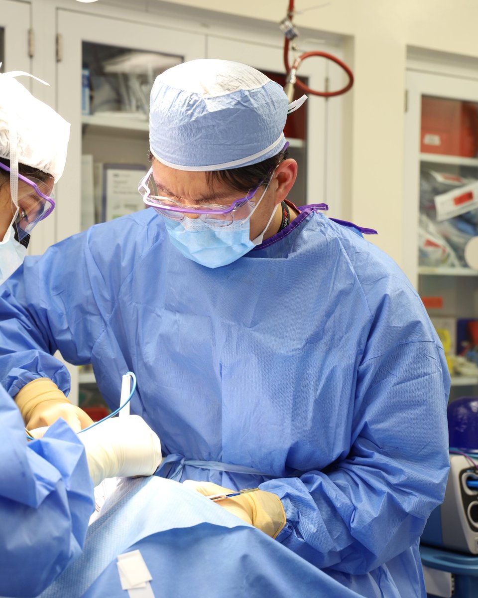 WashUVascular's tweet photo. Hands-on training in action 🩺

Dr. Richie Li sharpening surgical skills in the thyroidectomy lab—where precision, anatomy, and technique come together.

#WashUSurgery #VascularSurgery #SurgicalTraining #ResidentLife #MedEd #WashUMedicine #FutureSurgeons https://t.co/8IZLMPbO39