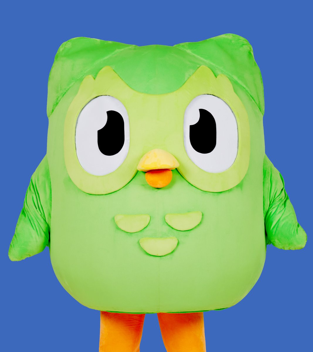 Duolingo(デュオリンゴ) | 日本公式🇯🇵 (@Duolingo_Japan) / Posts / X