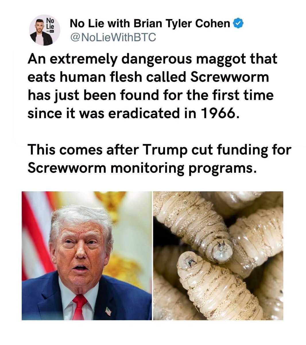 timruss2's tweet photo. It was found in Texas.  It destroys cattle too.  It was still in other countries and the US put in programs to ensure it wouldn’t enter the US again.  60 years of success.  
Until Trump cut the funding, and now it’s back in the US.  Are we Great Again yet? https://t.co/kqMvik7e30