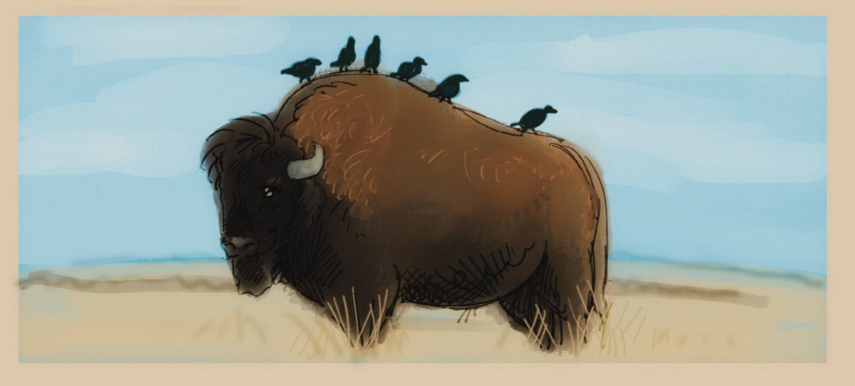 tinytruck42's tweet photo. moe bison https://t.co/zXOrwOHE9z
