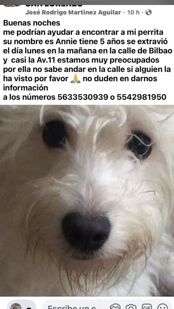 AlejandraVegaF5's tweet photo. ATENCIÓN IZTAPALAPA ‼️ La has visto? https://t.co/wPl8qXstKb