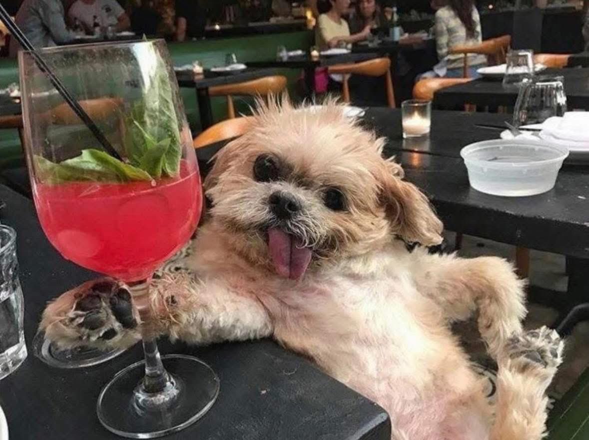 97Vercetti's tweet photo. When you go to have a drink, but instead the drink have you https://t.co/MuhZFnBKDR
