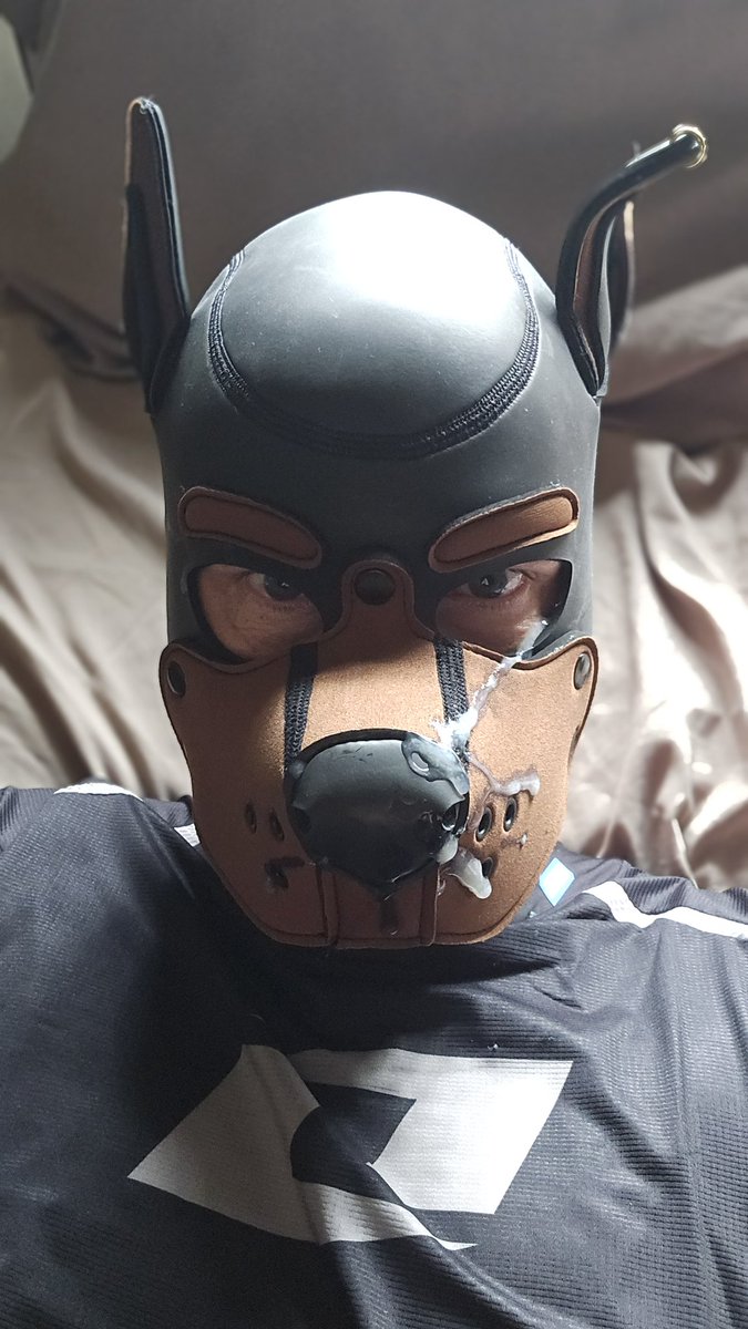 Jbb223sp's tweet photo. @kenji_pup Yes please https://t.co/VLZQnBhkYy