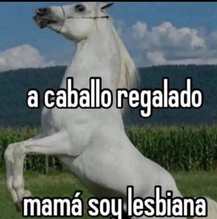 Quilombola tweet media