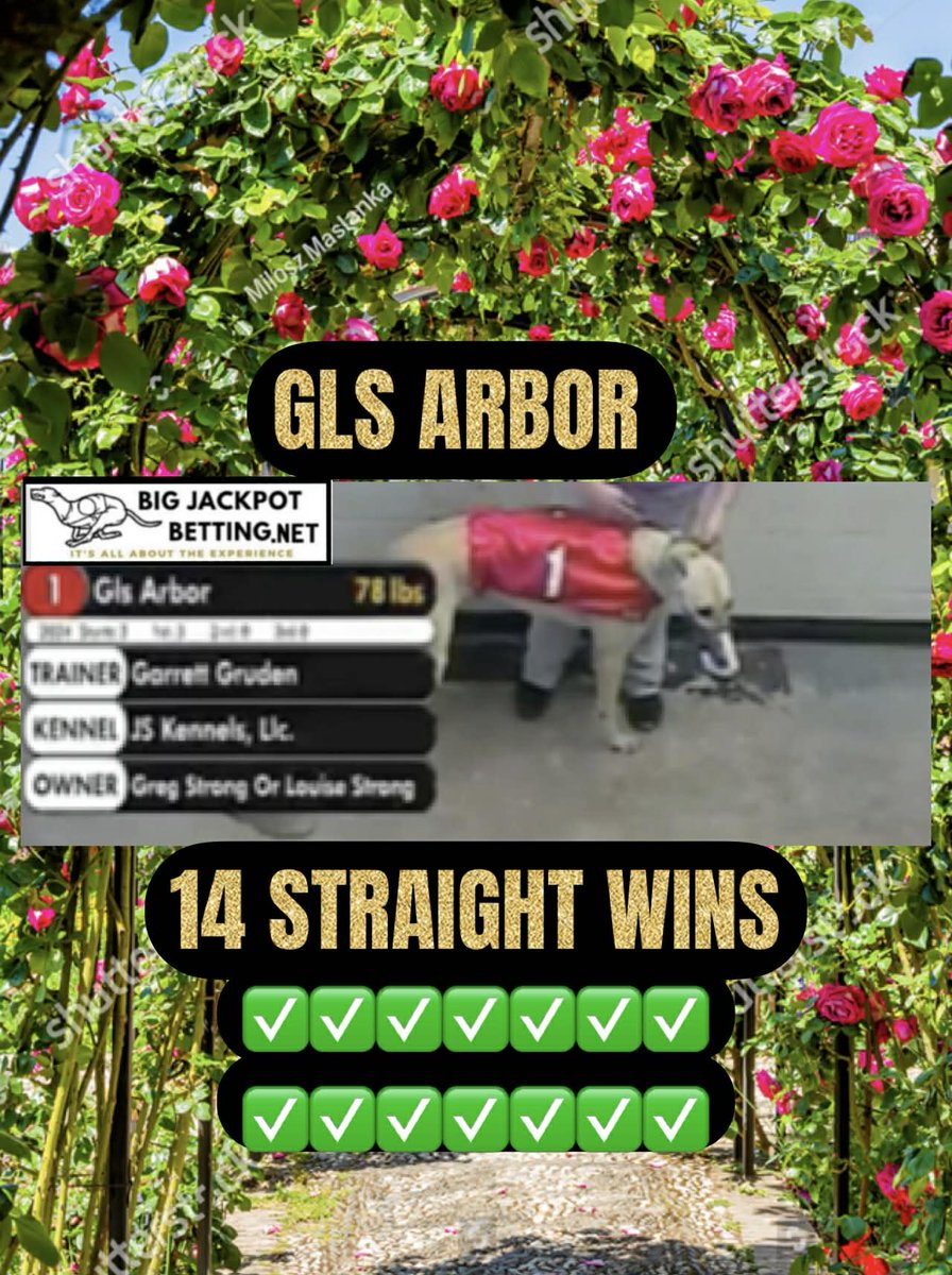 RandyLBirch's tweet photo. Million dollar days of puppy love features a history making Thursday night when, GLS Arbor, returned to Tri State for a 14th straight Win leading all the way with an impressive 29.84 out of the 1 Box of Race 10 at Tri State live at https://t.co/c1sK8aASyU, where Winning happens! https://t.co/E2wohE4uLO