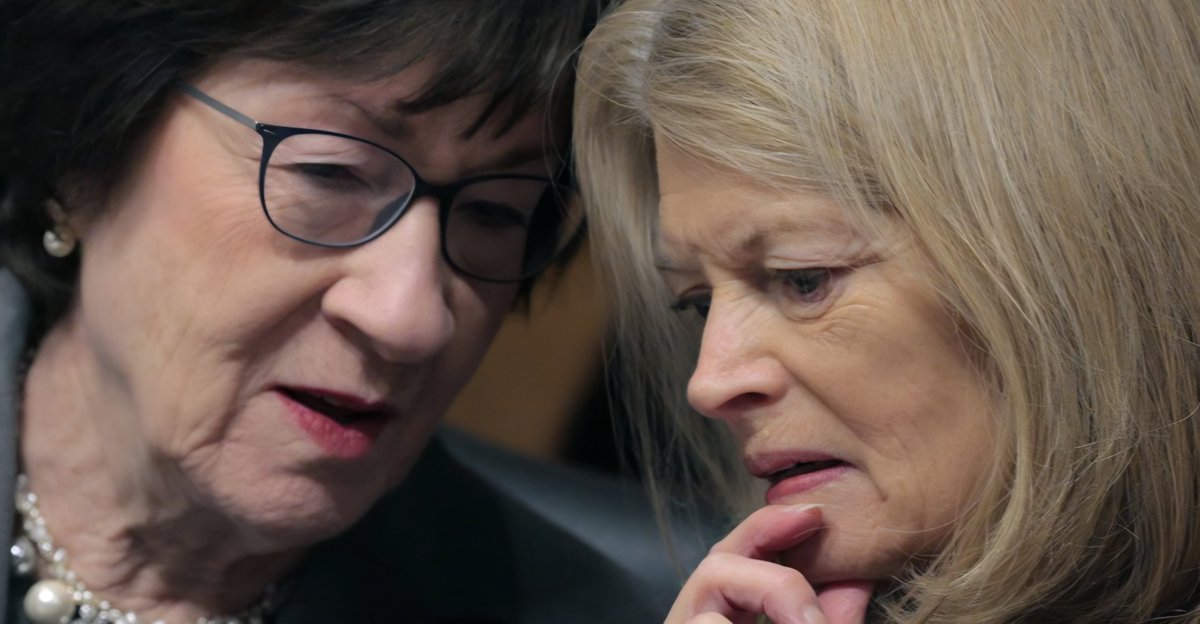 OcrazioCornPop's tweet photo. 🚨 BREAKING: House PASSES $9 BILLION in ADDITIONAL "AID" to Ukraine.

- @RepThomasMassie voted NO.

Senate FAILS to pass "SAVE AMERICA ACT" Amendment 48-52.

4 RINOs voted NO:

- Collins (ME)
- McConnell (KY)
- Murkowski (AK)
- Tillis (NC)

HOW WOULD YOU DESCRIBE THE CURRENT STATE OF THE REPUBLICAN PARTY? 

@LeaderJohnThune
@SpeakerJohnson