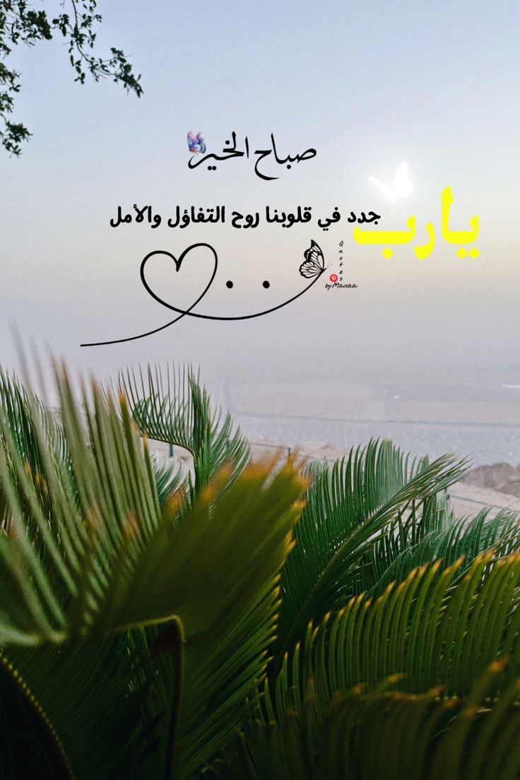 m70067's tweet photo. صباح الخير . . 🌷

 " ابتسموا ولا تُحملوا الصباح وِزر أوجاعِ الأمس . . فالصباح بداية ولتكن البدايات دائمًا أجمــل " https://t.co/VVeqz0pRAL
