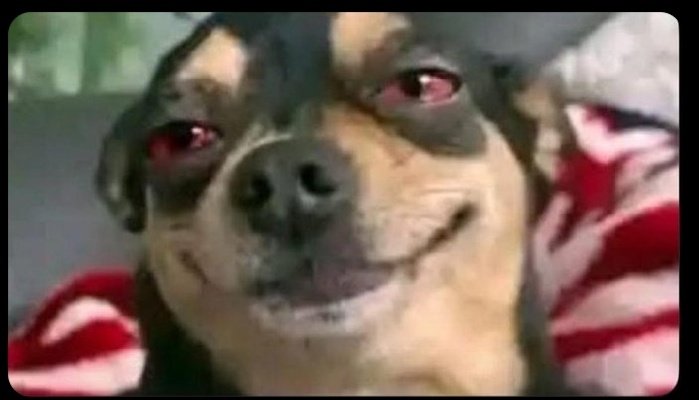 panduloo's tweet photo. I managed to allegedly insult two people two days in a row without even knowing it. I don't know what kind of energy I’m giving off, but guys, I don't insult people. I just tell people nicely, but in Oshiwambo... especially if my eyes be like that🫩😂 https://t.co/K3rukoAycg