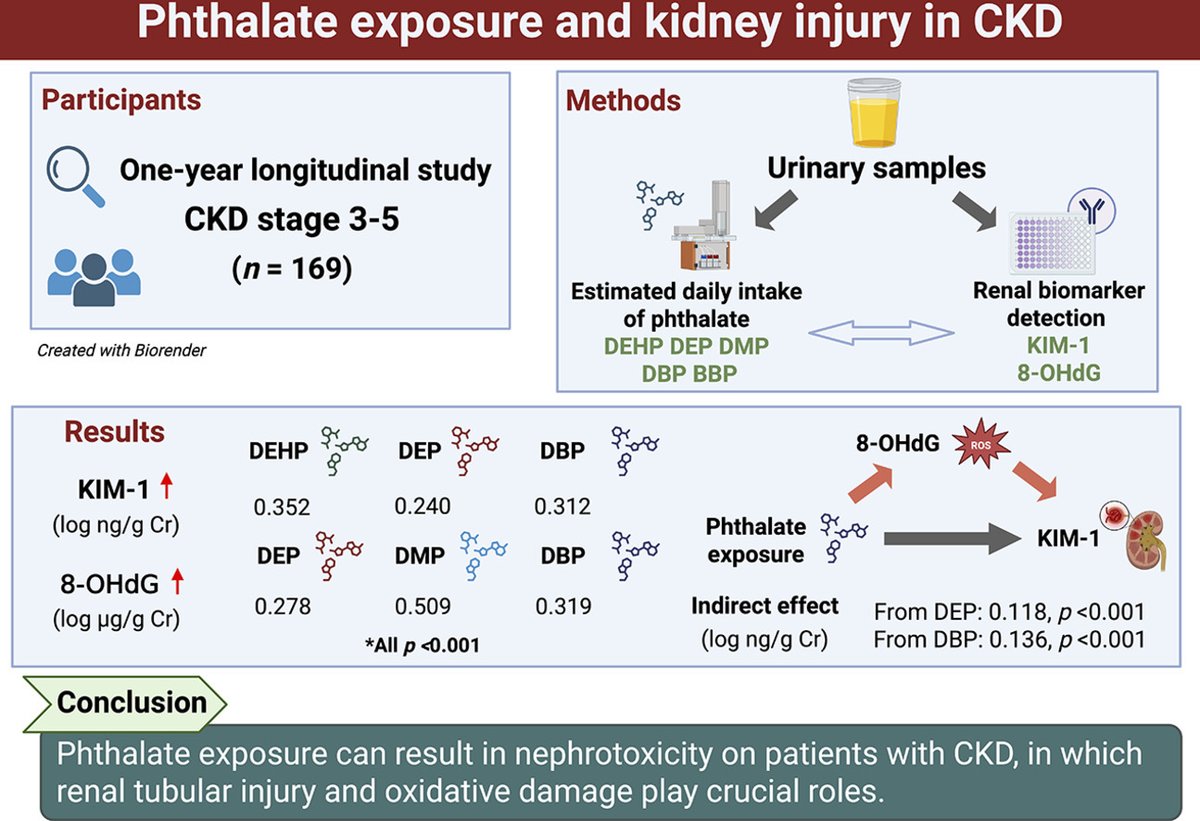 HehaEls's tweet photo. Could phthalate exposure contribute to kidney injury?

A study explored associations between phthalates and chronic kidney disease.

📗 https://t.co/JLmpnW2qtq

#Phthalates #KidneyDisease #EnvironmentalHealth https://t.co/wA7YEnpiXp