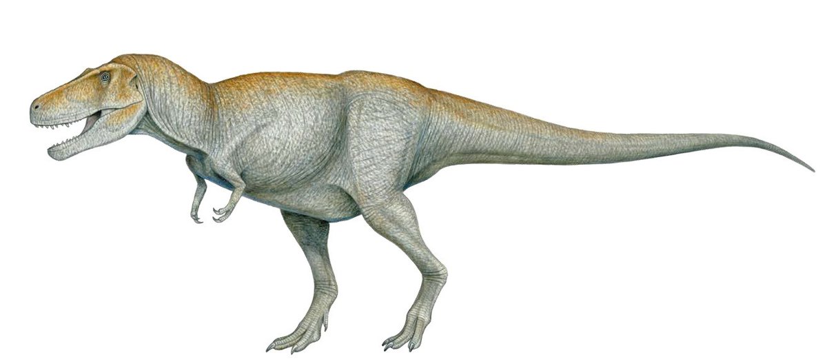 イラスト原画　獲物を狙うティラノサウルス 「暴君」 恐竜紹介/// 🦖🦖ティラノサウルス🦖🦖 「暴君竜」を意味する