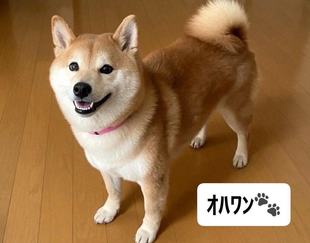 yamatatachikaya's tweet photo. おはようございます☁️🍃
体感温度4℃ 肌寒いʕ⁎̯͡⁎ʔ༄

老後の日👵先ずは元気に✊🏻
年金では生活出来ず…ﾄﾎﾎ ⳺_⳻
頑張って働きます🍻😑ﾖﾛｼｸ🙏

🚗の免許も時期を見て返納✌︎🚶‍♀️

寒暖差に気をつけて🙆‍♀️
良い一日をお過ごし下さい☘️
#たちか屋エビグラタン🈳ｱﾘ🐕 https://t.co/m85TaGIrH2