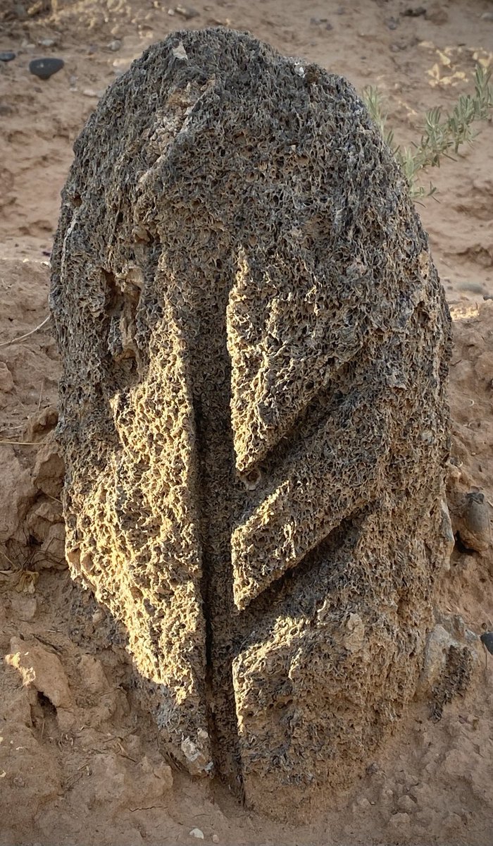 abqDean's tweet photo. This is the Viking rune for wealth. I easily etched it into very soft pumice using the ancient technique of an angle grinder with a diamond blade just because New Mexico doesn’t have enough Viking runes. Careful if you try this, the dust you’re flinging are tiny shards of glass! https://t.co/NrQ9ivkoi7