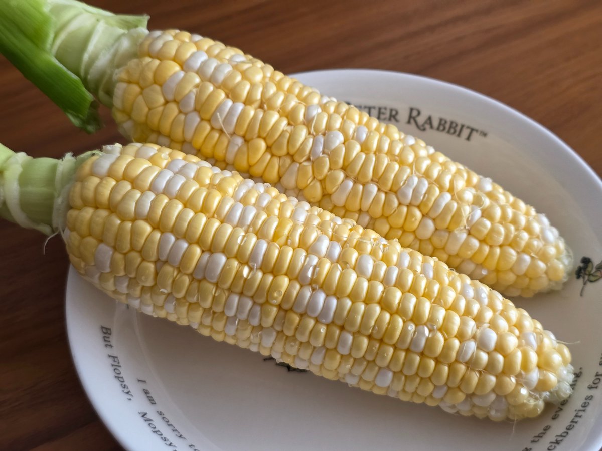 unit08_gow's tweet photo. peakfarmさんの闇採りスイートコーン届きました。
初めて生で食べましたが凄く甘く、ジューシーで美味しかったです。 https://t.co/j3wmKO4qWm