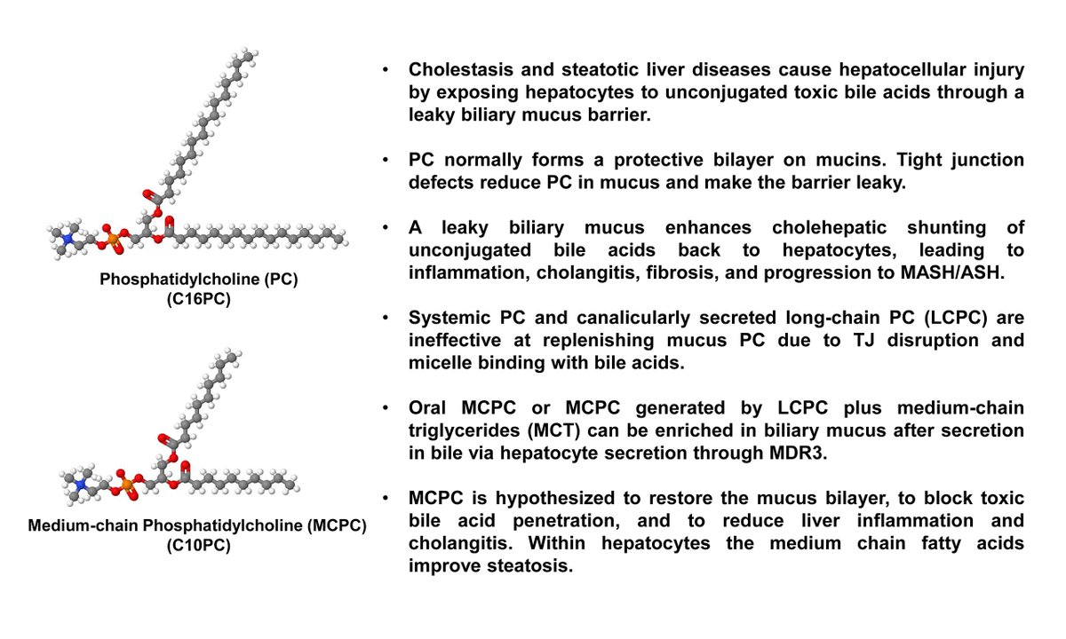 Semaglutide + metformin improve PCOS outcomes. A randomized trial shows  better menstrual cyclicity in overweight/obese women with PCOShighlighting  metabolic therapy beyond glucose control.  https://t.co/da0APqNdSm #PCOS # Semaglutide #MetabolicHealth