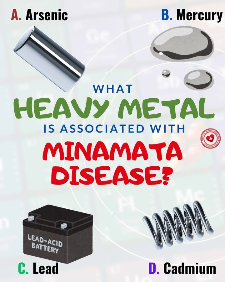 AllScientifical's tweet photo. What heavy metal is associated with Minamata disease?
A) Arsenic
B) Mercury
C) Lead
D) Cadmium
#heavymetals #minamatadisease #poisoning #environmentalscience ... Continue to: https://t.co/zrnDCwfjO5 https://t.co/jxKEqNPf3E