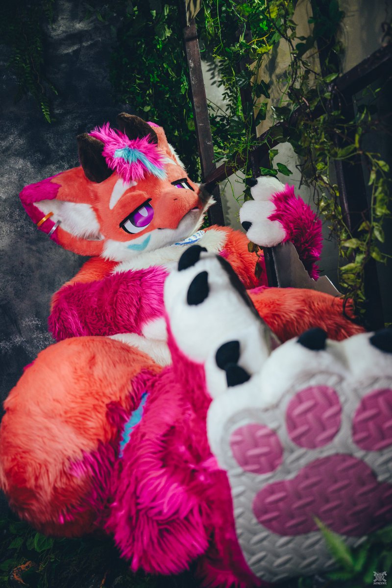 trexhowl's tweet photo. 嗯？你説你想看我的什麽？！
呐~好吧但不准摸哦👉👈

🪡 @furmony 
📷 @VinTheCoyote 
#Furry #fursuit #fursuitfriday https://t.co/R0zeHkrQmC