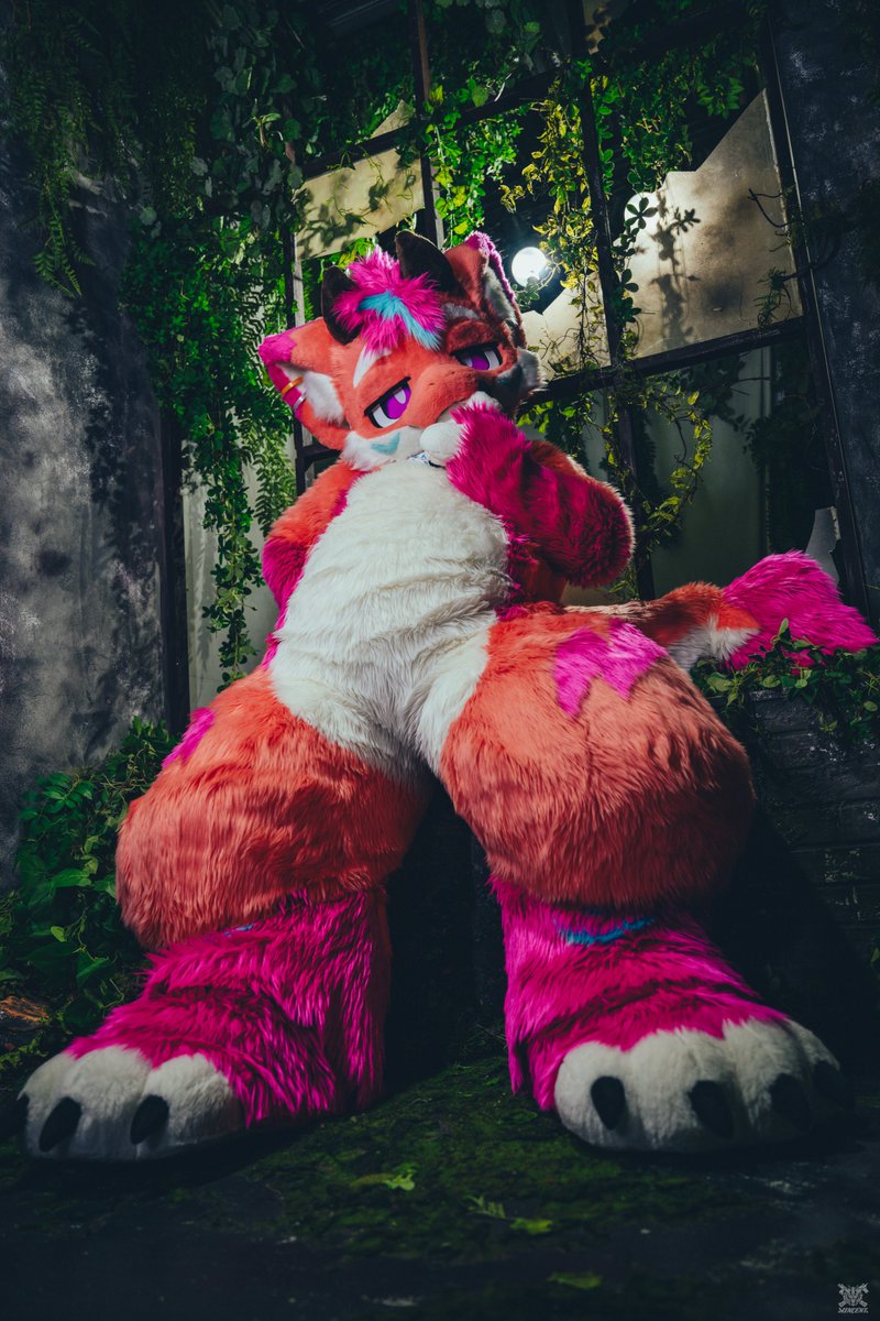 trexhowl's tweet photo. 嗯？你説你想看我的什麽？！
呐~好吧但不准摸哦👉👈

🪡 @furmony 
📷 @VinTheCoyote 
#Furry #fursuit #fursuitfriday https://t.co/R0zeHkrQmC