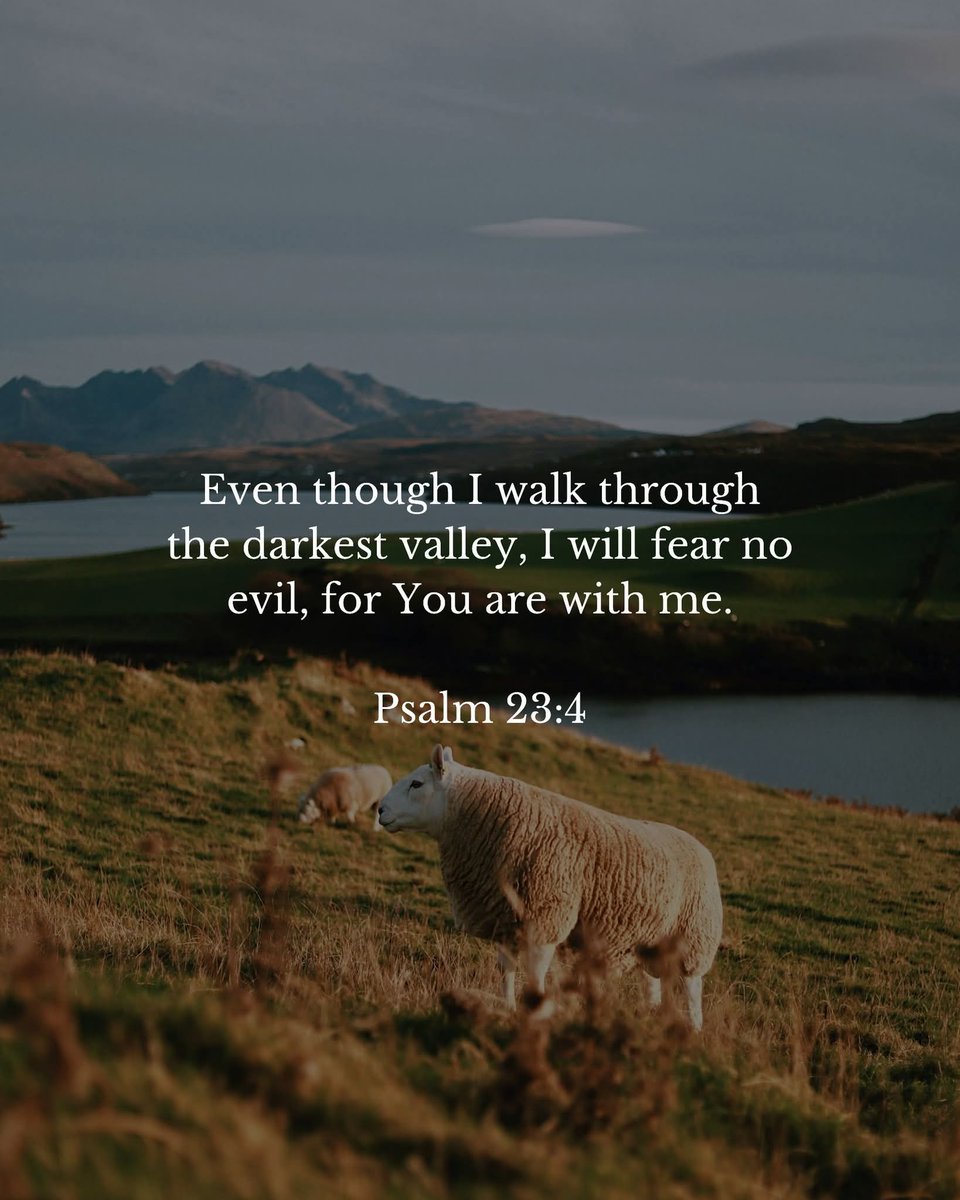 stfmindia's tweet photo. Suddenly, you'll get well. Suddenly, your child gets back on course. Suddenly, the problem resolves.

God Bless You All 🙏 

— Gershon 🕊️ https://t.co/8PQbNaWjuC