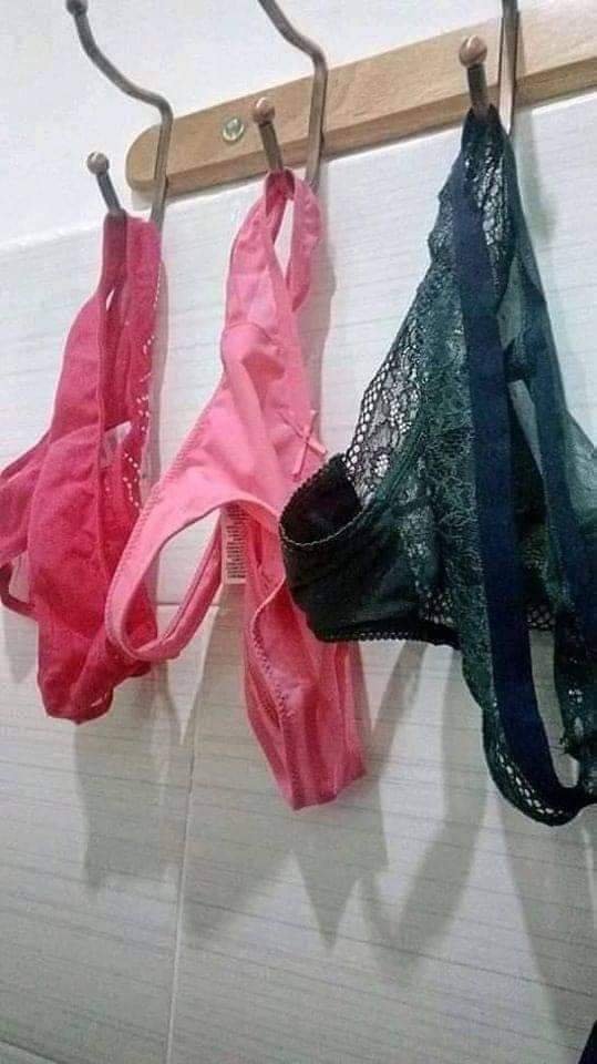 سالب كلب من غزة tweet media
