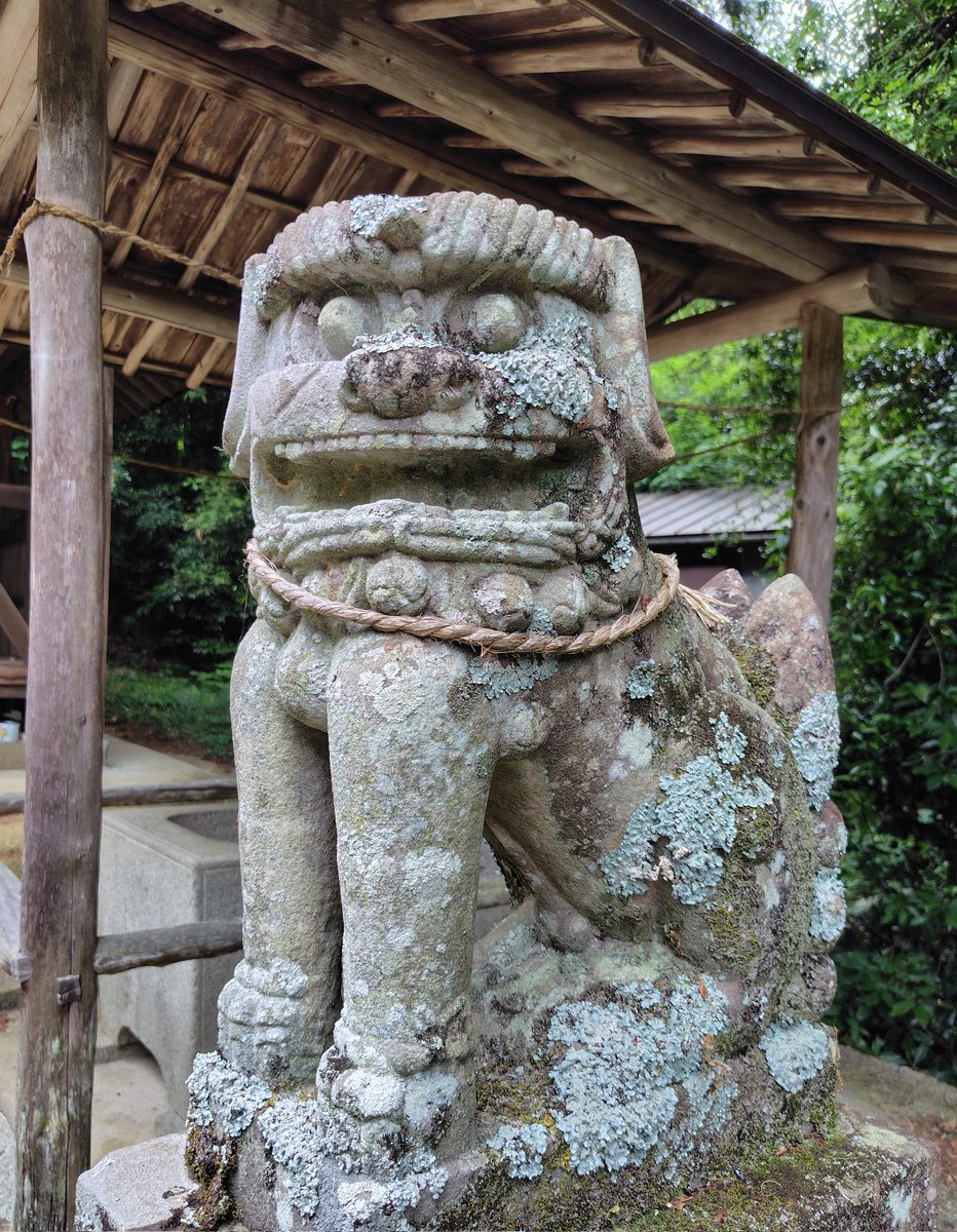 氏の宮神社の狛犬 奥目だが飛び出ている… ＃香川県の狛犬 ＃氏の宮神社