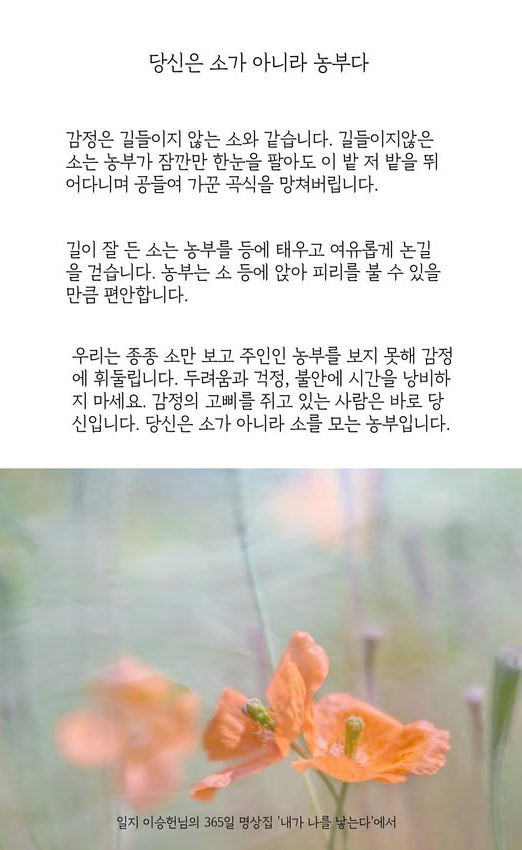 srb114's tweet photo. 당신은 소가 아니라 농부다 https://t.co/hTDM7sPewG