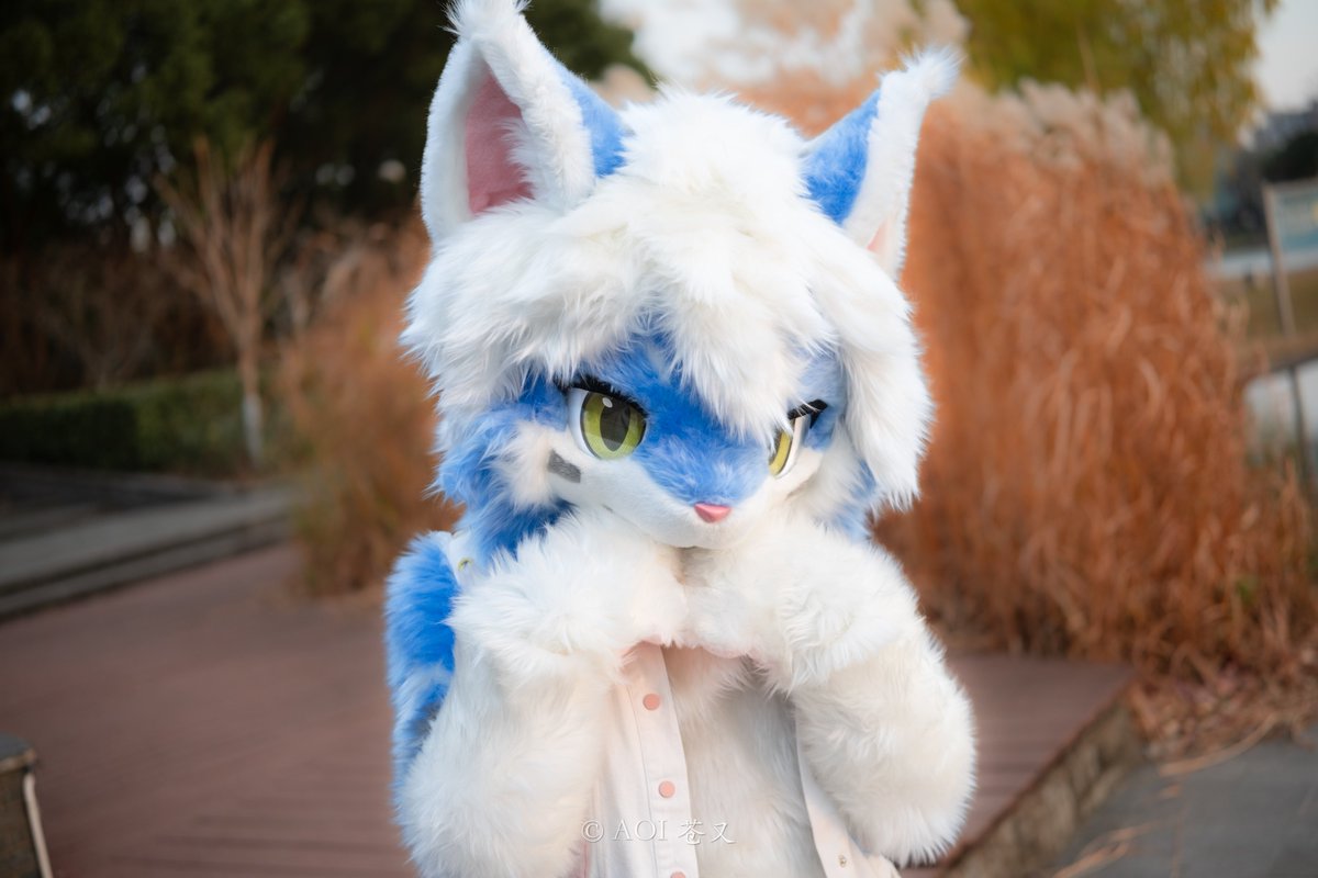 Yuno_accent's tweet photo. ☀️/🐱/✨
Peek-a-boo, I see your heart~ Did I get it? =w=?

📷：@AOI_youyou
#FursuitFriday https://t.co/9fR28la6Ir