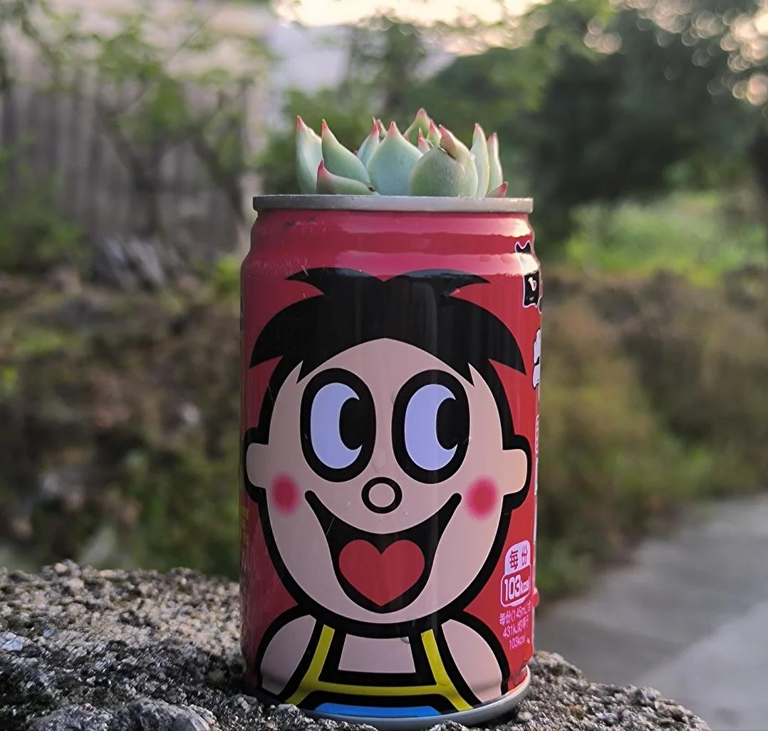kadrichko's tweet photo. Just turned a plain mason jar into a cute succulent holder with hot glue u0026 acrylic paint! Super easy weekend DIY that adds tiny joy to my desk https://t.co/XLGVXrUP8K