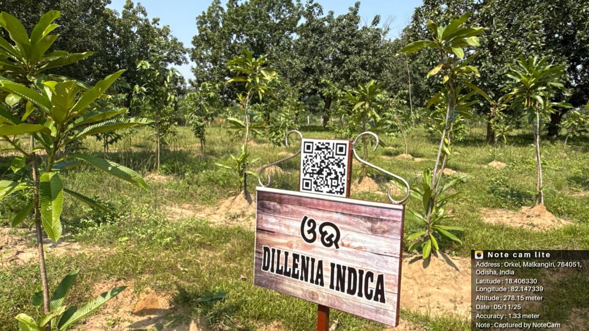 DFO_Malkangiri's tweet photo. The UTP Sindhiguda Plantation 2025–26 of K. Gumma Section under Balimela Range reflects a diverse plantation model comprising medicinal, NTFP, timber, and fruit-bearing species. Innovative features such as QR code-based plantation information, informative display boards, and well-planned infrastructure have been incorporated to enhance transparency, awareness, and visitor engagement. The plantation contributes significantly to biodiversity conservation, forest restoration, and livelihood generation opportunities for local communities.
@pccfodisha @PCCFWL_Odisha @RCCF_Koraput @ForestDeptt @CAMPAODISHA @GaneshRamBJP @dm_malkangiri