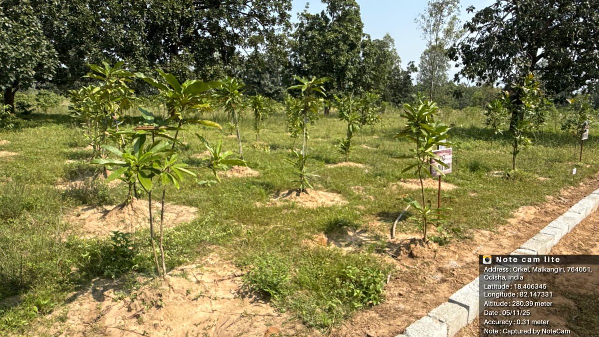 DFO_Malkangiri's tweet photo. The UTP Sindhiguda Plantation 2025–26 of K. Gumma Section under Balimela Range reflects a diverse plantation model comprising medicinal, NTFP, timber, and fruit-bearing species. Innovative features such as QR code-based plantation information, informative display boards, and well-planned infrastructure have been incorporated to enhance transparency, awareness, and visitor engagement. The plantation contributes significantly to biodiversity conservation, forest restoration, and livelihood generation opportunities for local communities.
@pccfodisha @PCCFWL_Odisha @RCCF_Koraput @ForestDeptt @CAMPAODISHA @GaneshRamBJP @dm_malkangiri