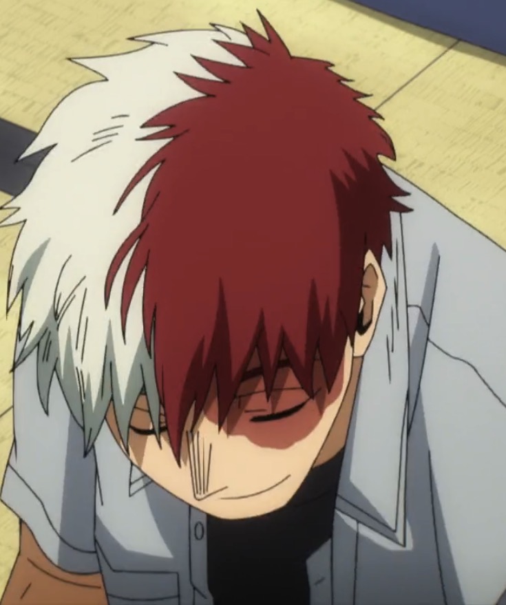 Shoto Todoroki's PR Manager❄️🔥🐈🍜 tweet media