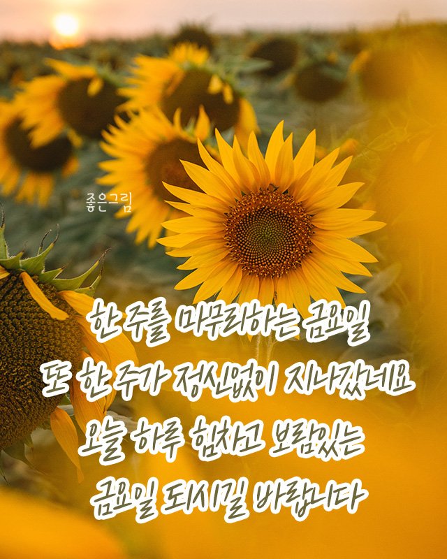 dud3329's tweet photo. https://t.co/xd6Aon4XDt