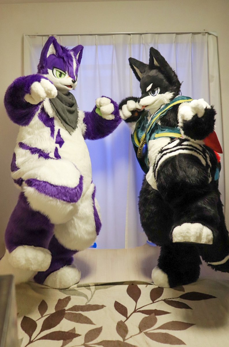 Ghosuke_Ragnas's tweet photo. ⚫️「こうだぜ！こう！！」
🟣「こ、こうなのです？💦」
 #FursuitFriday https://t.co/3rpzs5agZN